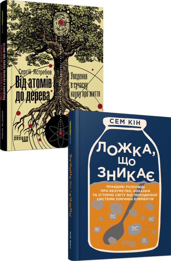 Елементарний комплект