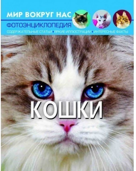 Мир вокруг нас. Кошки