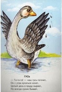 Наші друзі. Книжка-картонка. Мова російська