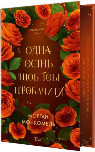 Одна осінь, щоб тобі пробачити. Пори року. Книга 1