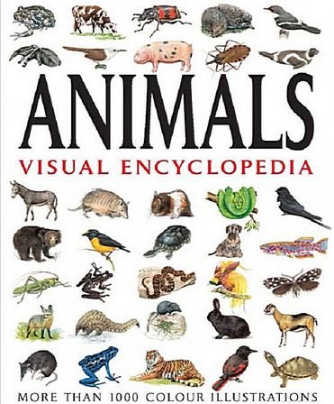 Animals Visual Encyclopedia: More than 750 colour illustrations