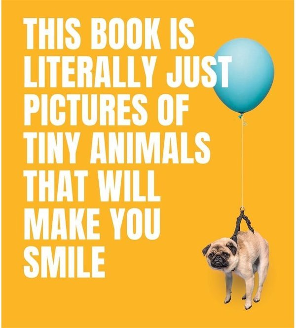 This Book Is Literally Just Pictures of Tiny Animals...