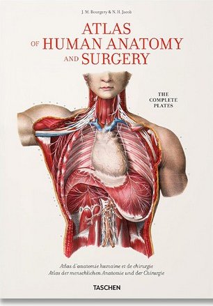 XL. Bourgery. Atlas of Human Anatomy and Surgery збільшена