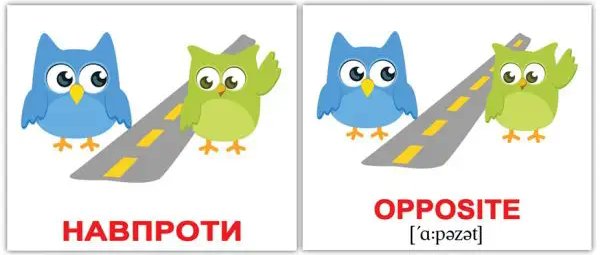 Мини-20: Прийменники/Prepositions