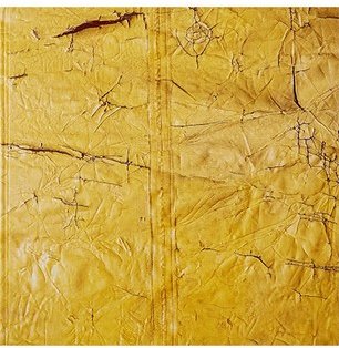 David Hammons