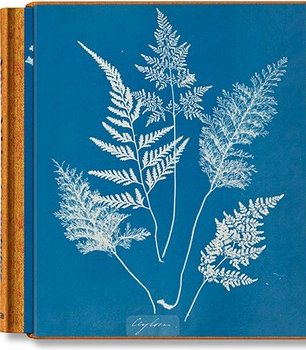 Anna Atkins. Cyanotypes