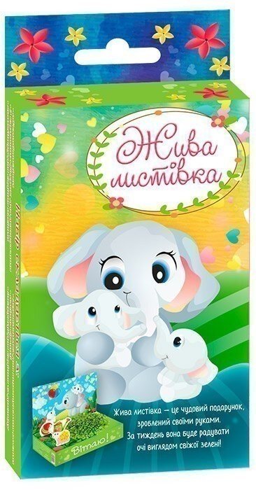 Книга Жива листівка. Слоники