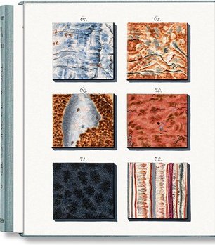Jan Christiaan Sepp. The Book of Marble