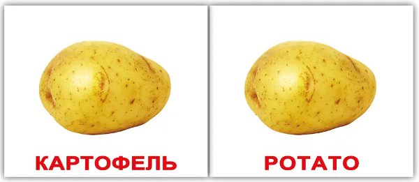 Мини-40: Овощи Vegetables (рус-англ)