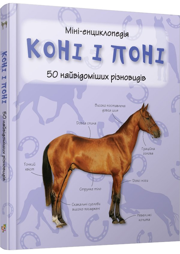 Коні і поні