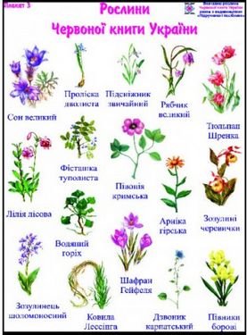 Підтвердьте, що ви
