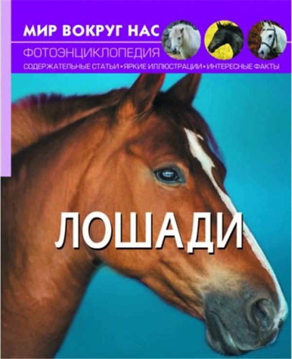 Мир вокруг нас. Лошади