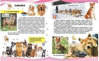СВІЙСЬКИ ТВАРИНИ ТА ЇХНІ ДИКІ РОДИЧІ