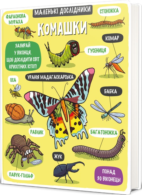 Маленькі дослідники: Комашки