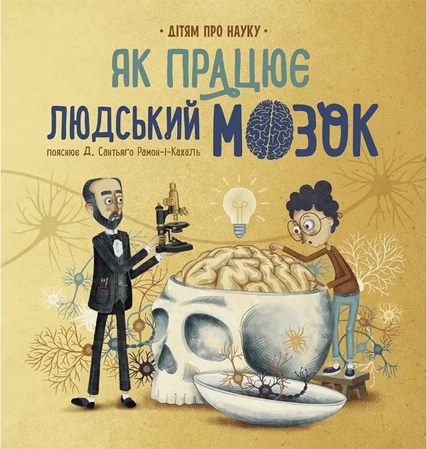 Про науку: Як працює людський мозок