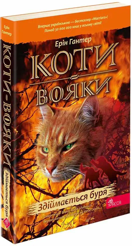 Коти - вояки. Здіймається буря